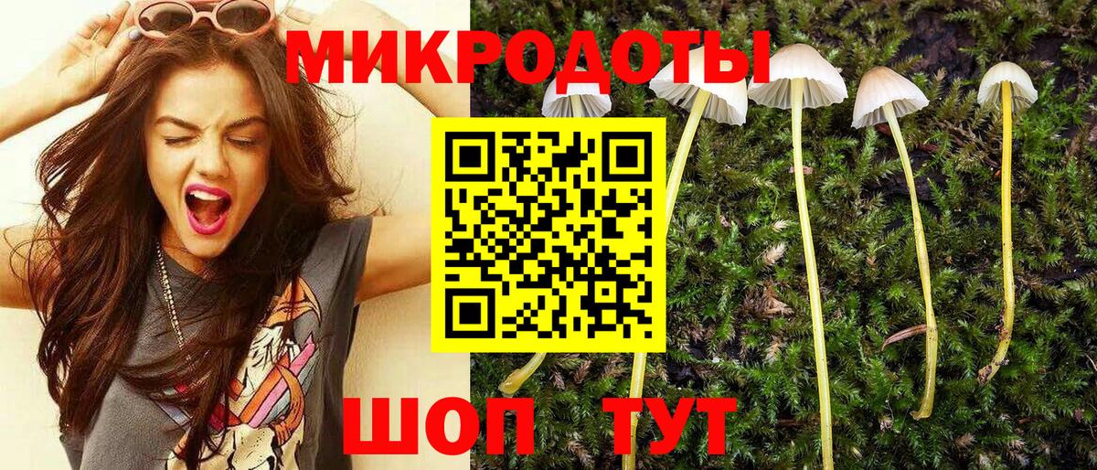 Галлюциногенные грибы GOLDEN TEACHER  закладка  Асино  Вход с VPN 