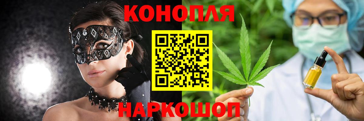 Бошки Шишки сатива Асино